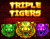 Triple Tigers